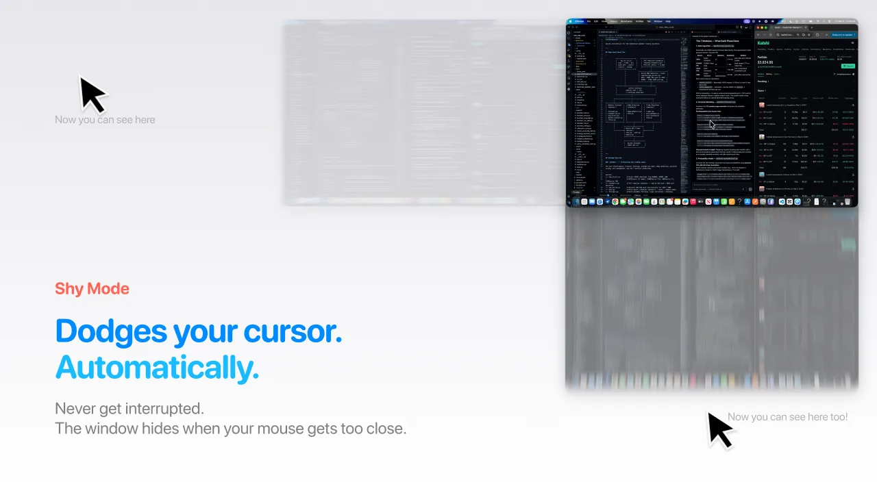 ShyWindow screen